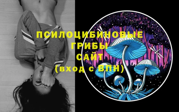 крисы Гусев
