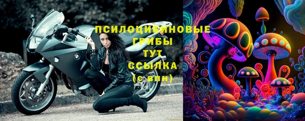 метадон Гусь-Хрустальный