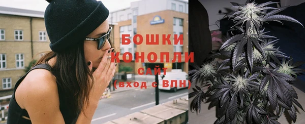метадон Гусь-Хрустальный