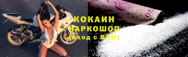 гидра Дмитровск