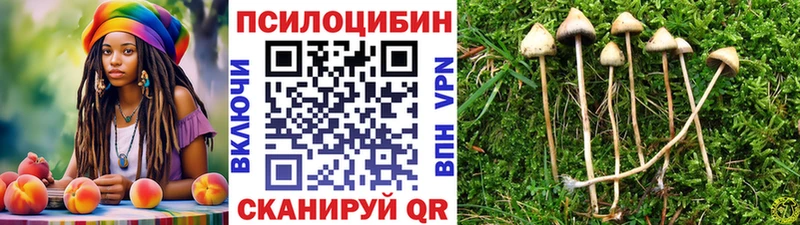 Галлюциногенные грибы ЛСД  купить наркотики цена  Елабуга 