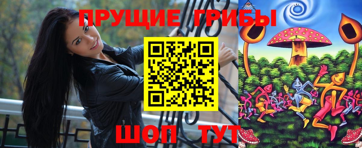Елабуга  Псилоцибиновые грибы мухоморы  Вход с VPN  Псилоцибиновые грибы мицелий 